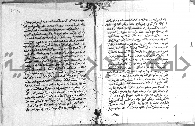 حاشية الشوبري على التحرير 