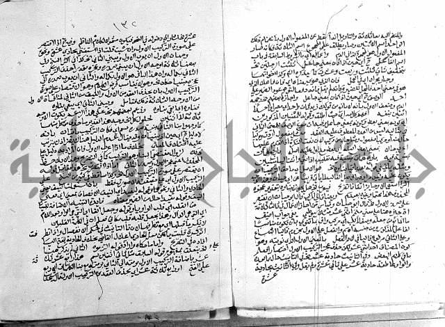 كتاب في اللغة العربية