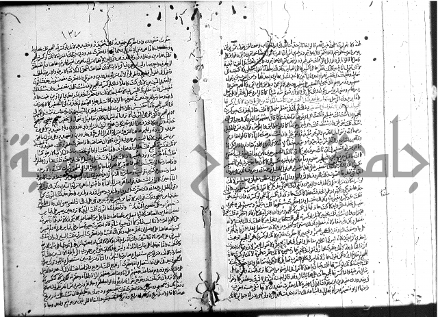 سيبويه 