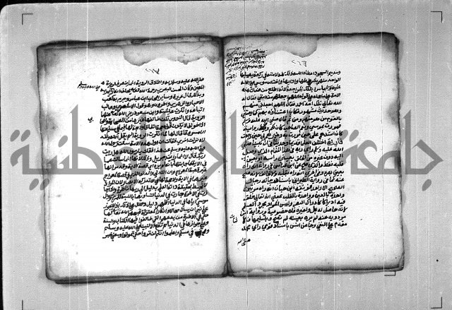 شرح الهمزية  