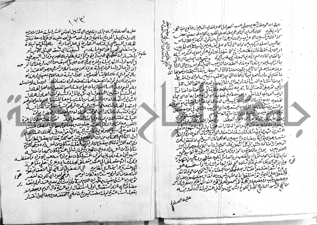 كتاب في اللغة العربية