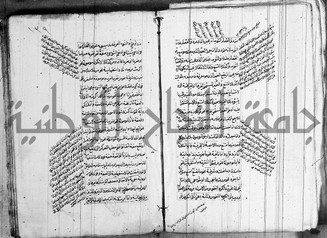 فوائد على الكافية 