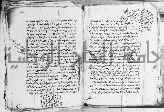 الزيادي على المنهج 