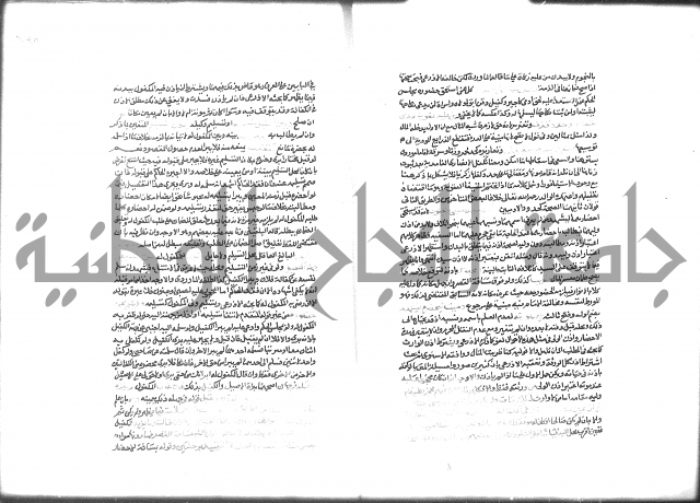شرح الرملي 2