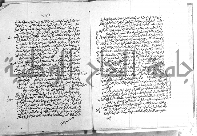 كتاب في اللغة العربية