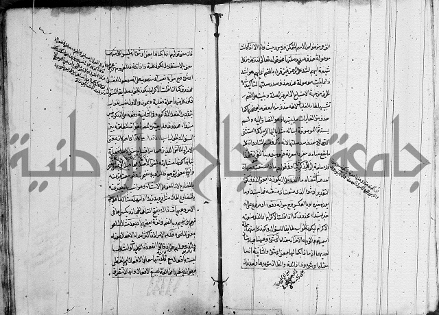 فوائد على الكافية 