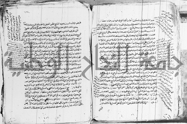 الزيادي على المنهج 
