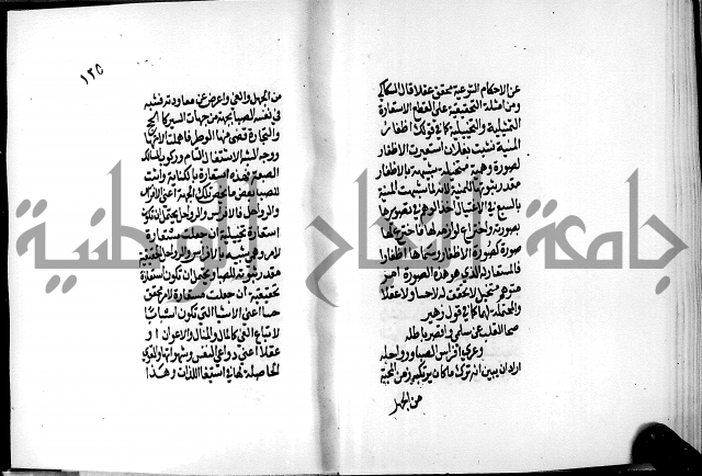 الرسالة البيانية