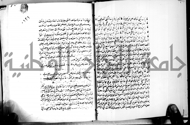 البحر الفائض في شرح ديوان ابن الفارض البوريني 