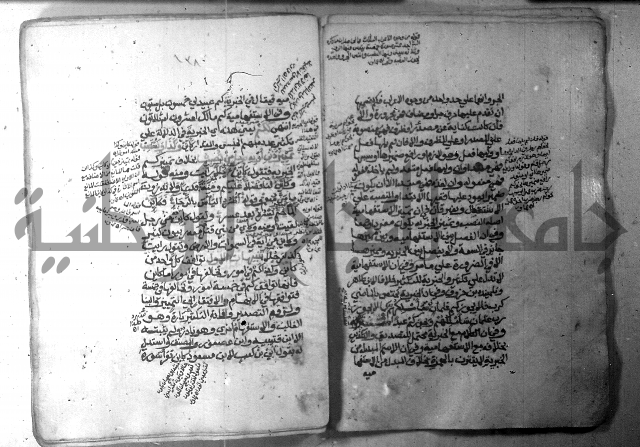 شرح الاشموني على الافية