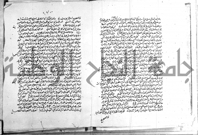 كتاب في اللغة العربية