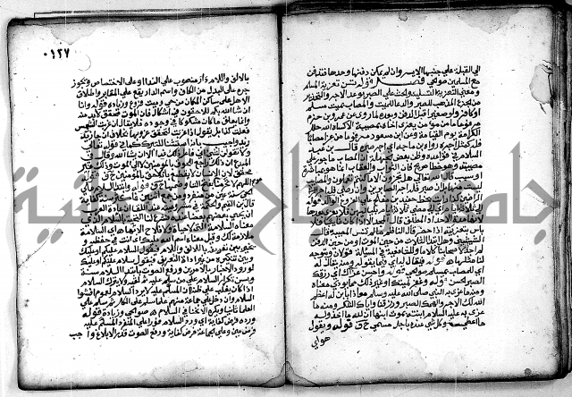 فقة من مخطوطات مسجد الحاج نمر النابلسي 