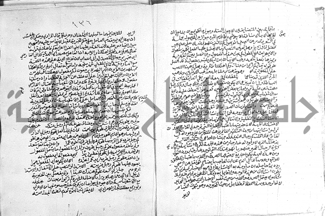 كتاب في اللغة العربية