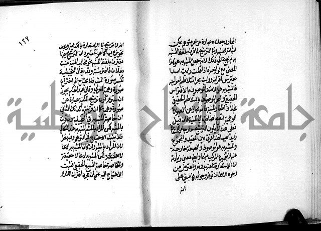 الرسالة البيانية