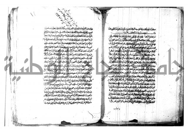 شرح شذور الذهب لابن هشام