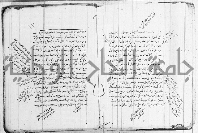 نحو - شرح الكافية