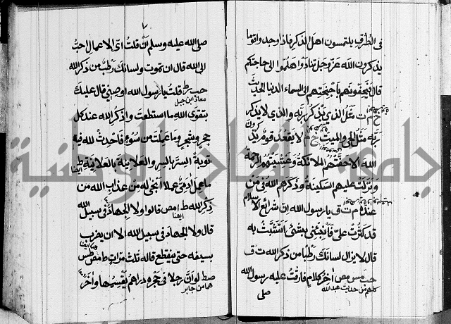 الحصن الحصين 