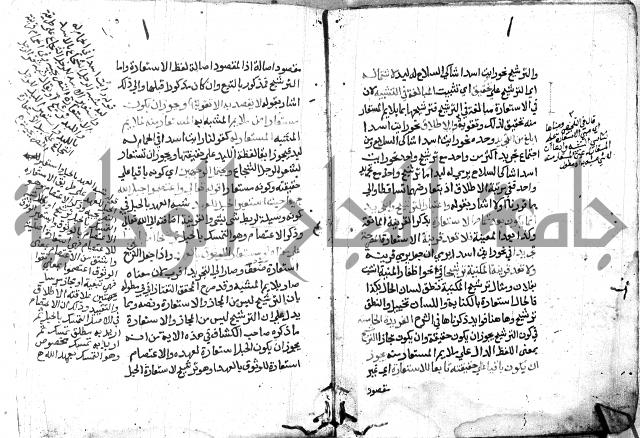 شرح الاستعارة الصغير للملوي