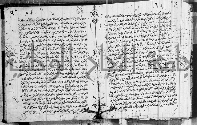 شرح كتاب قطر الندى وبل الصدى