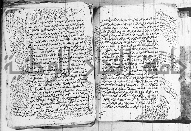 الزيادي على المنهج 