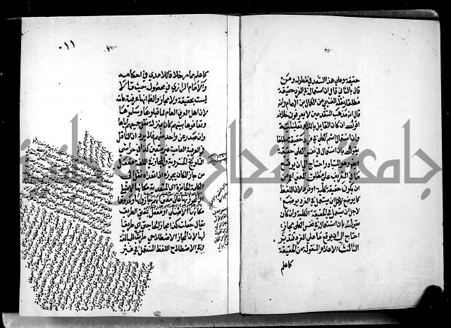 الرسالة البيانية
