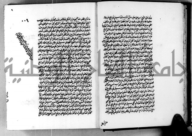 الجواهر الدورية في تنقيح الفتاوى الحامدية ج2 