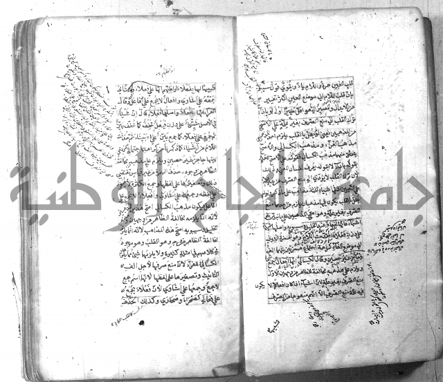 شرح الشافية 