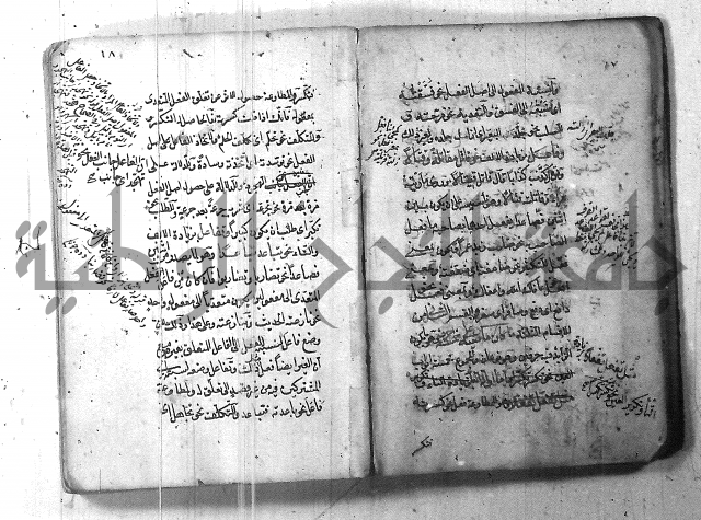 التفنن في الصرف