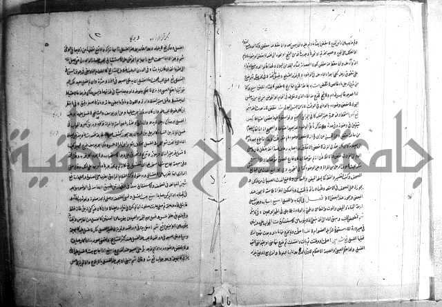 حاوي مسايل المنيه