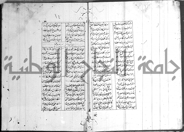 نظم تركي