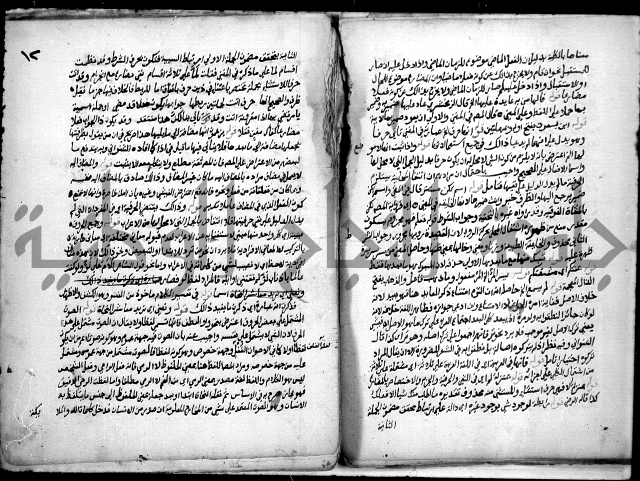 حاشية السجاعي على شرح قطر الندى وبل الصدى لابن هشام