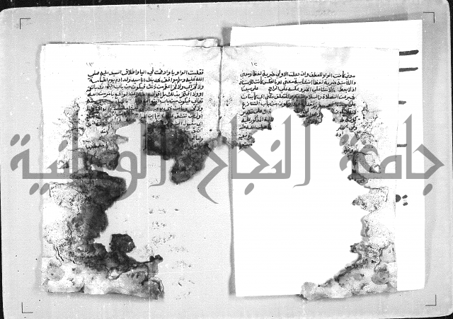 الهدهدي 