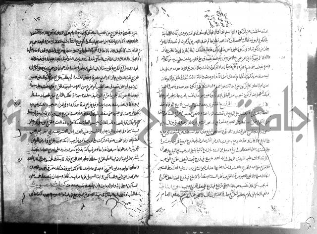 منية الفتى 