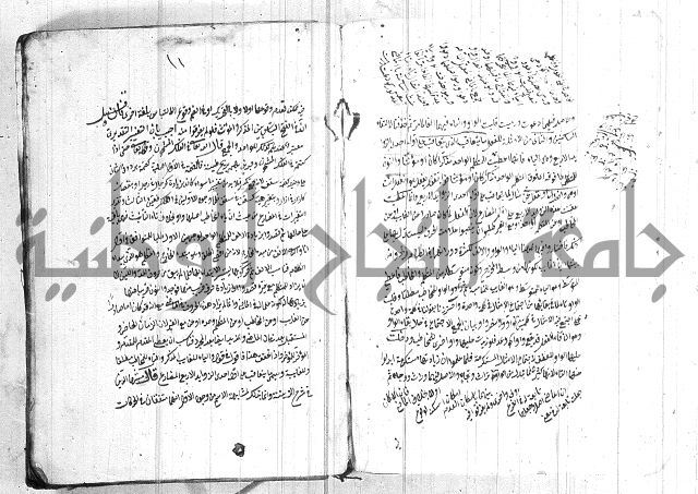 الانتاج المؤلف 