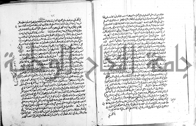 كتاب في اللغة العربية