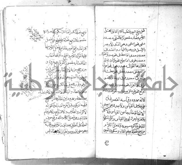 شرح الشافية 