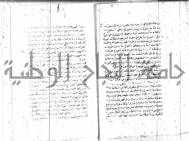 التعريفات الهامة