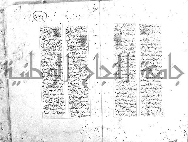 خلاصة التنوير 