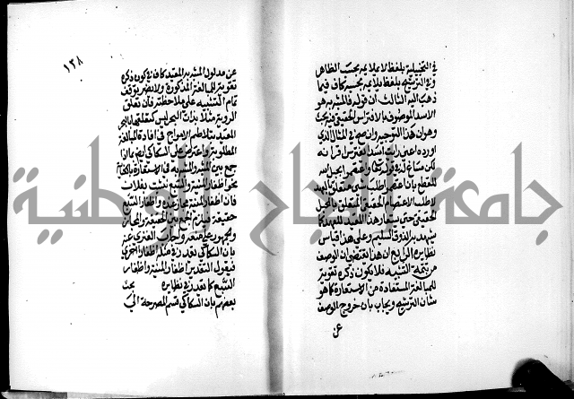 الرسالة البيانية