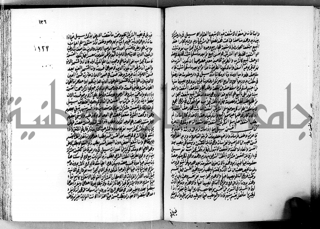 الجواهر الدورية في تنقيح الفتاوى الحامدية ج2 