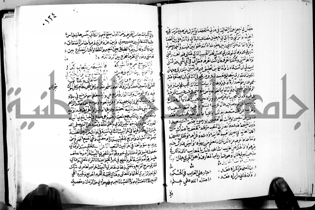 البحر الفائض في شرح ديوان ابن الفارض البوريني 