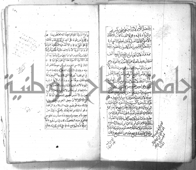 شرح الشافية 