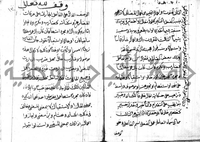 شرح مقدمة قطر الندى وبل الصدى