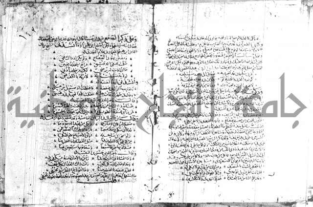 شرح لامية العجم 