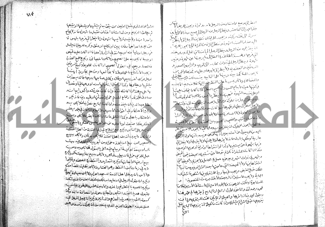 خزانة المفتين