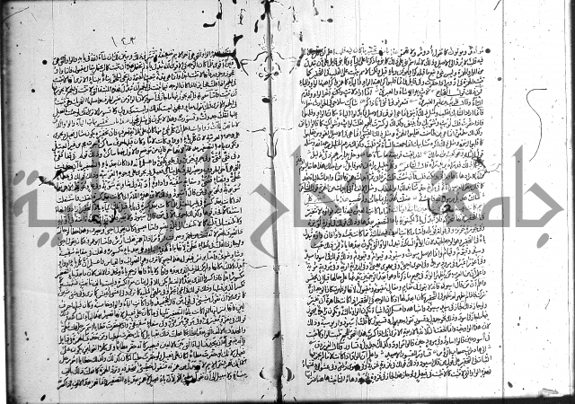 سيبويه 