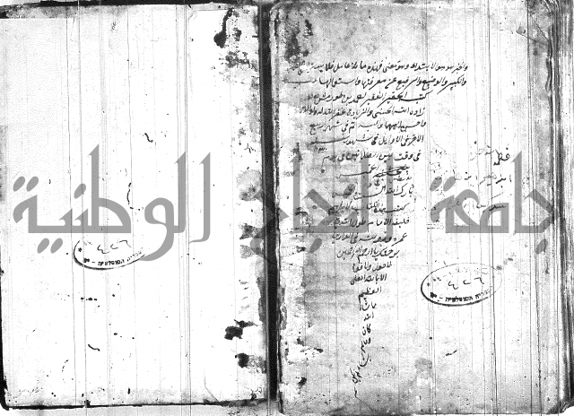 الانتاج المؤلف 