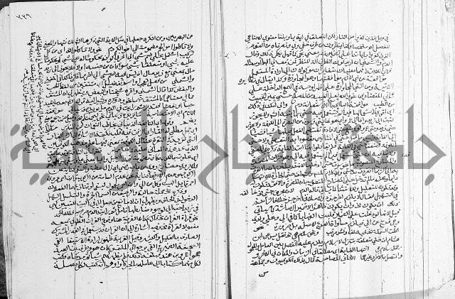 كتاب في اللغة