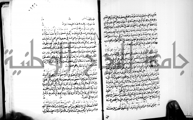 البحر الفائض في شرح ديوان ابن الفارض البوريني 