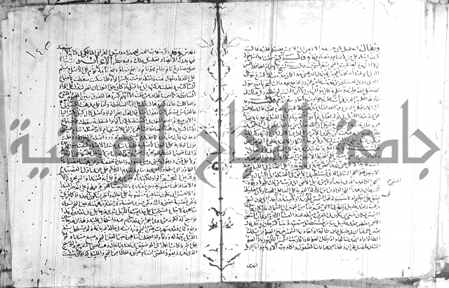 شرح لامية العجم 